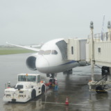 使用機到着遅れで滞在時間が若干延長！ANAのNH88便で羽田から宮古島へ（2024年4月版）