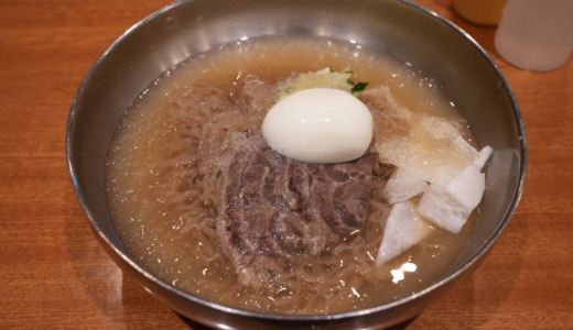 韓国・龍山駅の改札前にある食事処！丼飯系メニューが充実の「チェソン食堂 アイパークモール店」で冷麺を食べる